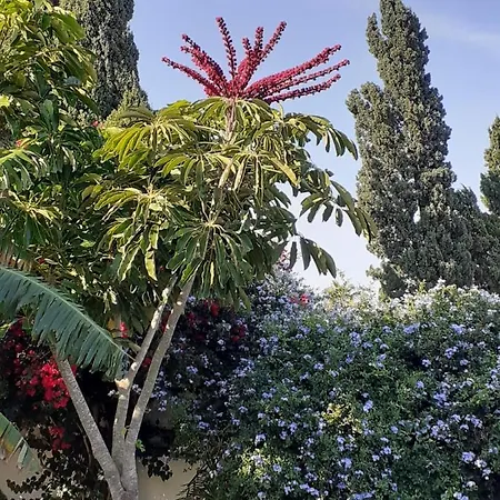 Zorollo Con Piscina Ferienhaus *