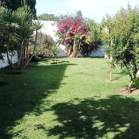 Zorollo Con Piscina